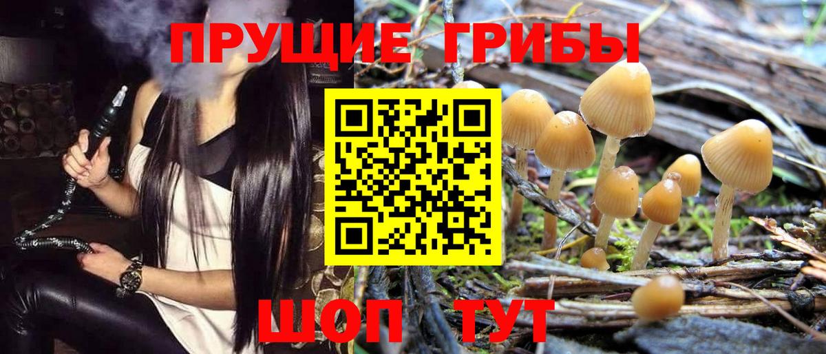 где найти   Галлюциногенные грибы Cubensis  Екатеринбург  Вход с VPN  Псилоцибиновые грибы GOLDEN TEACHER 